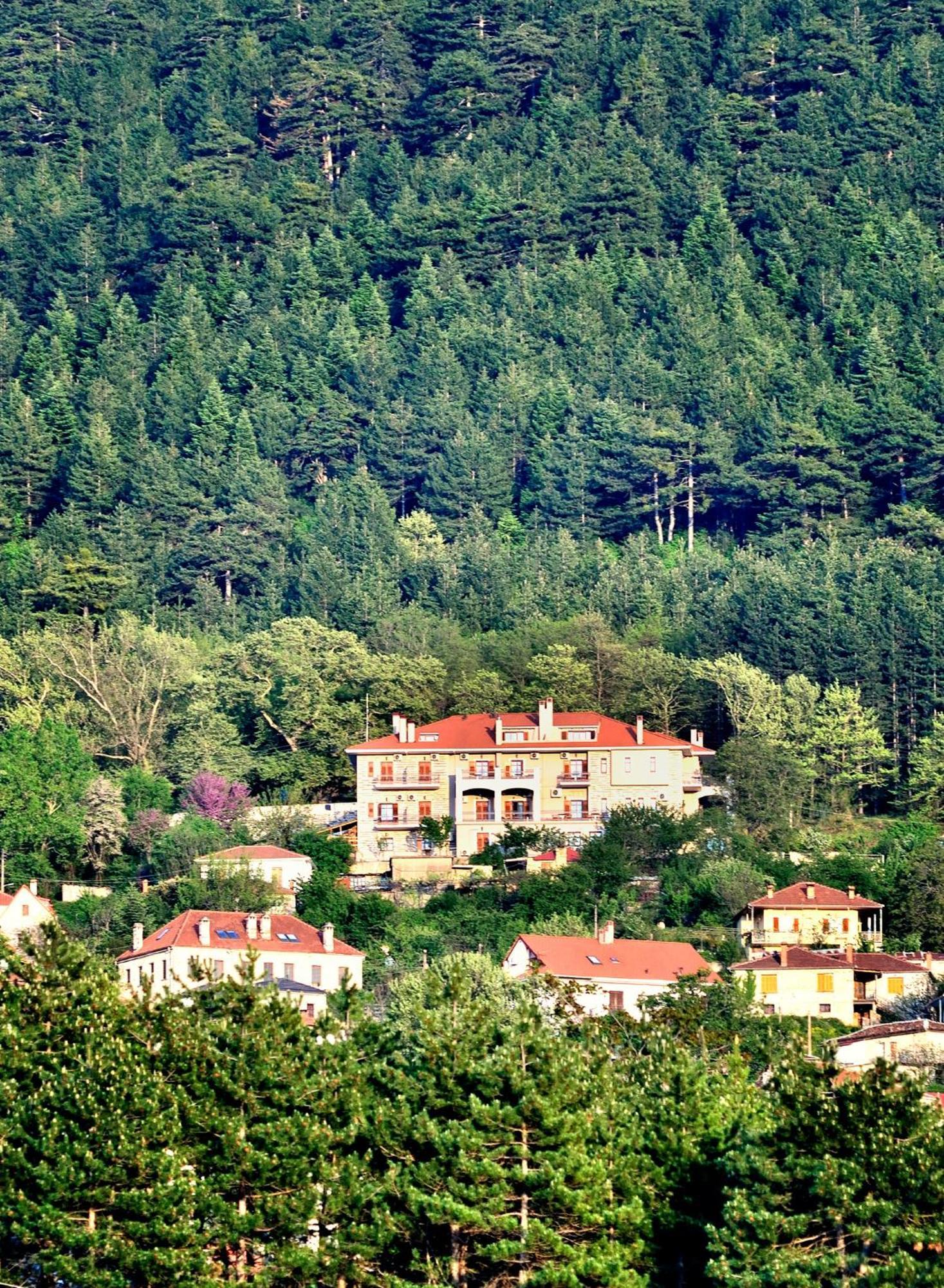 Konitsa Mountain Hotel Exteriér fotografie